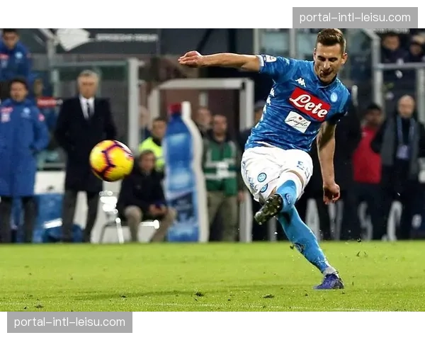 传球网络可视化：解析国际米兰进攻体系中的关键枢纽球员